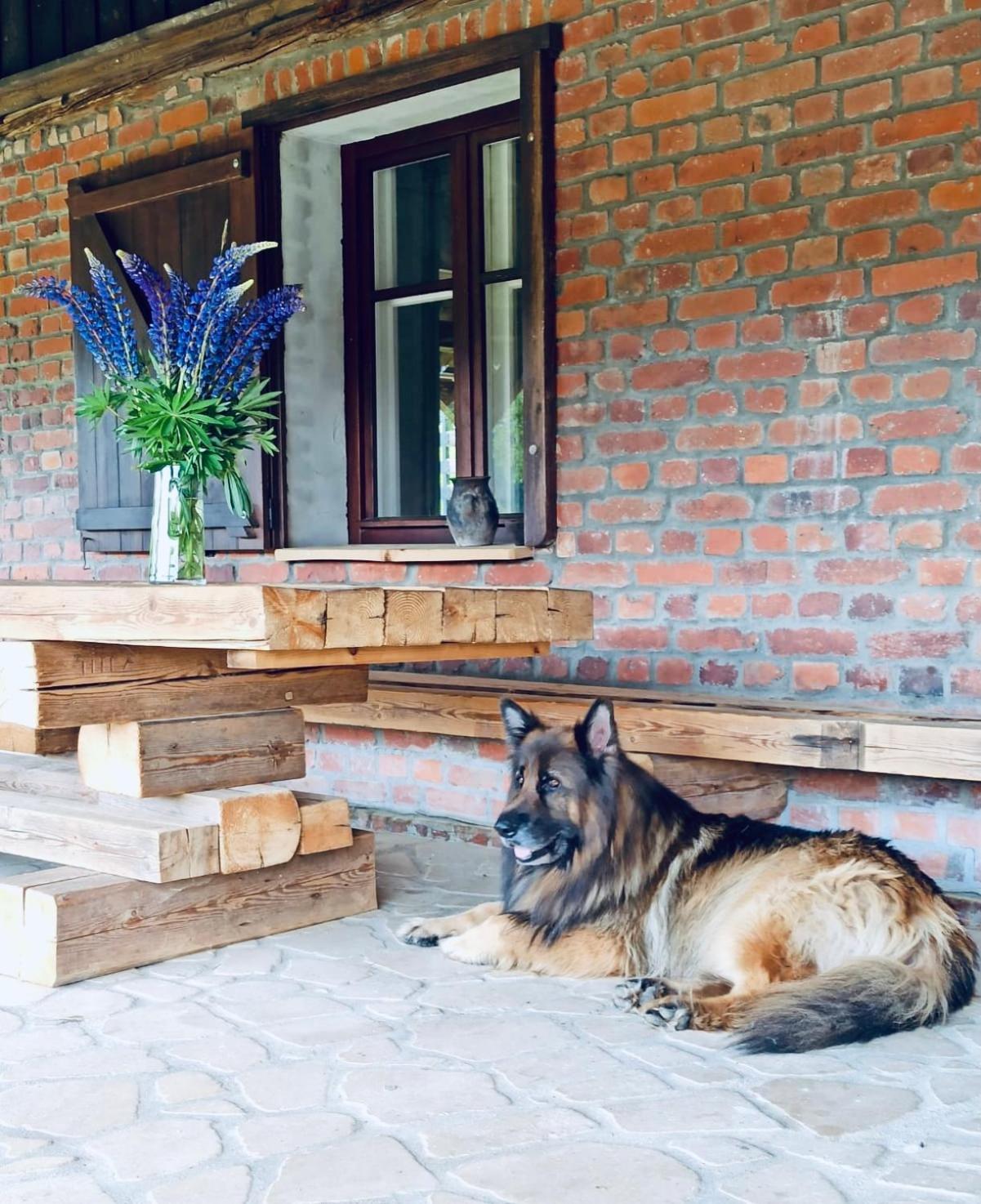 Chata Nad Dzika Orlica Z Jacuzzi Poniatow Extérieur photo