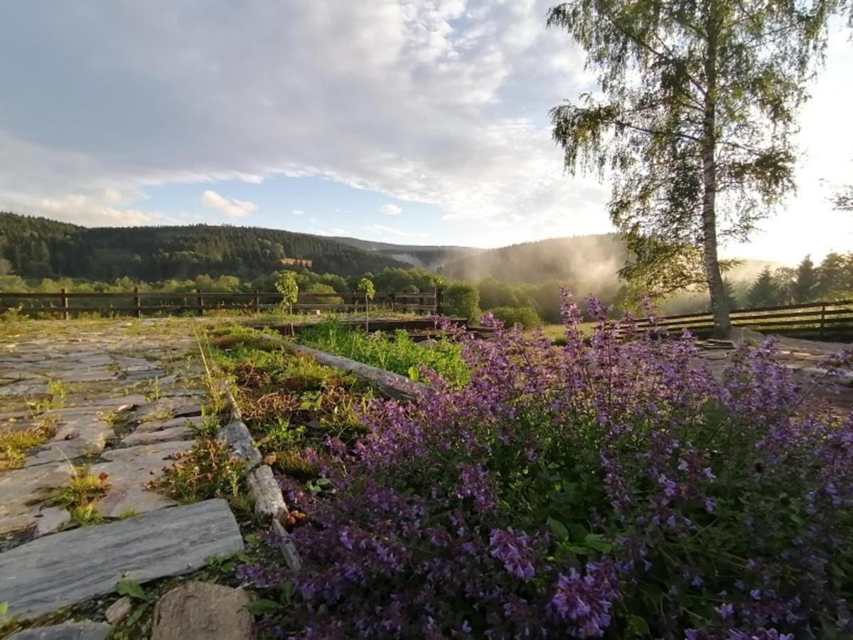 Chata Nad Dzika Orlica Z Jacuzzi Poniatow Extérieur photo